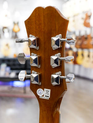 Epiphone Songmaker DR-100 Acoustic Guitar - Wine Red With Gold